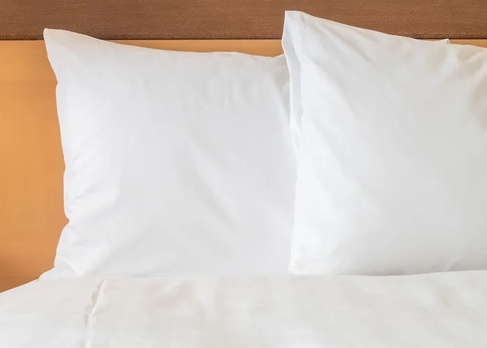 Top Day Use Hotels in Dallas