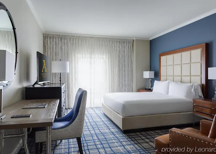 Top-Rated Hotels for a Lavish Downtown Dallas Experience